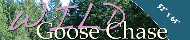 Wild Goose Chase – DISCONTINUED